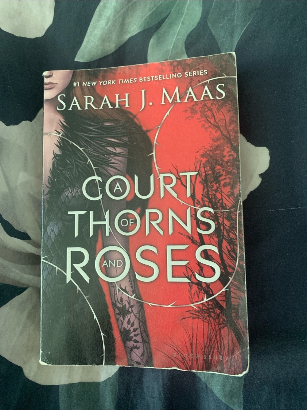 A Court of Thorns and Roses OOP paperback